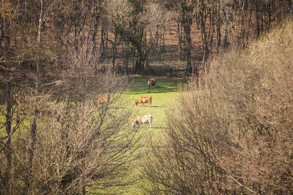 Pensjonat Pazo De Sedor Arzúa Zewnętrze zdjęcie